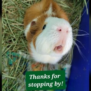 Welcome to My Closet!